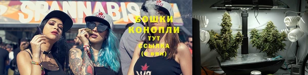 сатива Балахна