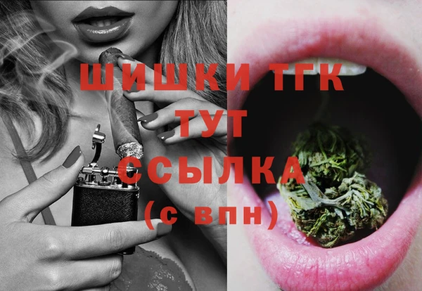 сатива Балахна