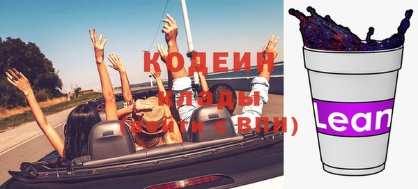 сатива Балахна