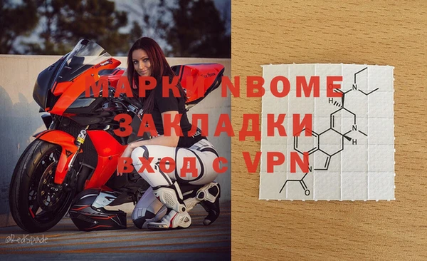 сатива Балахна